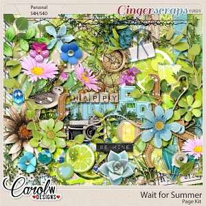 Wait for Summer-Page Kit