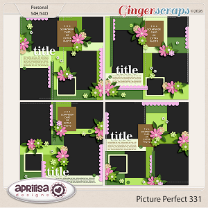Picture Perfect 331 by Aprilisa Designs