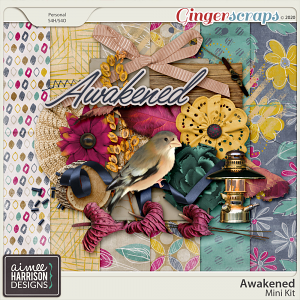 Awakened Mini Kit by Aimee Harrison