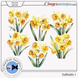 Daffodils Set 1 by Wetfish Designs