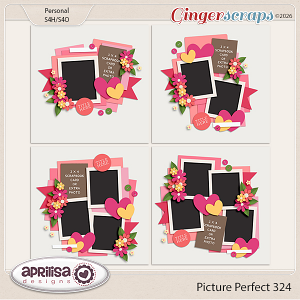 Picture Perfect 324 by Aprilisa Designs