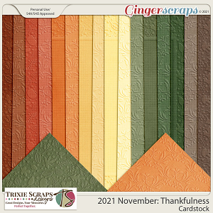 2021 November: Thankfulness Cardstock by North Meets South Studios