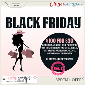 Special Coupon $100 for $30 by Neia Scraps