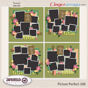 Picture Perfect 308 by Aprilisa Designs