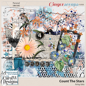 Count The Stars-Artsy bits