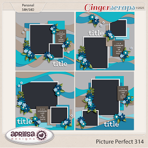 Picture Perfect 314 by Aprilisa Designs