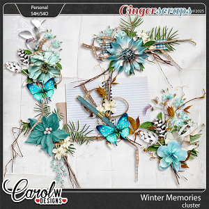 Winter Memories-Clusters