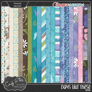 Days Like These [Papers] by Cindy Ritter