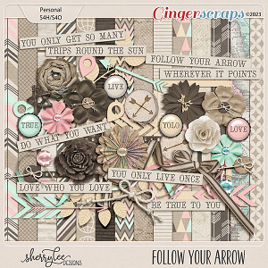 Follow Your Arrow Kit by Sherry Lee Designs