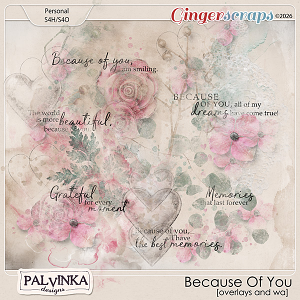 Because Of You Overlays and WA by Palvinka Designs Because Of You Overlays and WA by Palvinka Designs
