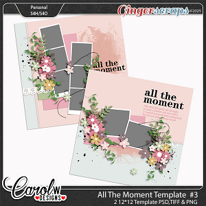 All The Moment-Template vol 3
