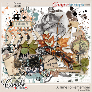 A Time To Remember-Journal Bits