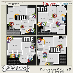 Pics Galore Volume 9 - 12x12 Temps (CU Ok) by Connie Prince