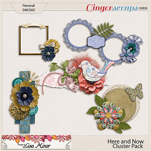 Here and Now Cluster Pack from Designs by Lisa Minor