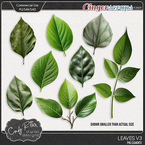 Leaves V3 [CU] by Cindy Ritter