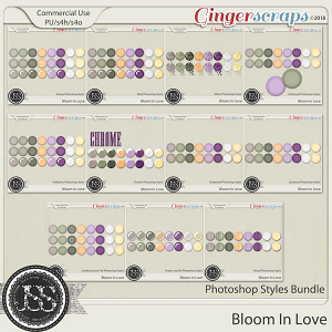 Bloom In Love CU Photohop Styles Bundle