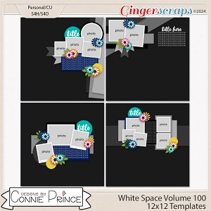 White Space Volume 100 - 12x12 Temps (CU Ok) by Connie Prince