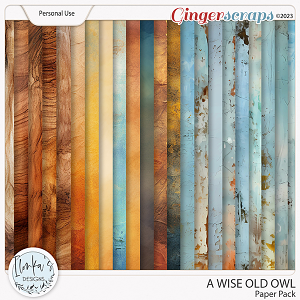 A Wise Old Owl Paper Pack by Ilonka's Designs 