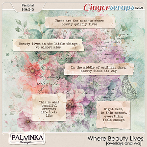 Where Beauty Lives Overlays by Palvinka Designs