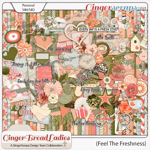 GingerBread Ladies Collab: Feel The Freshness