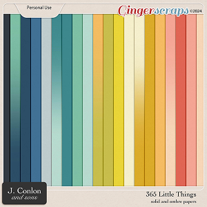 365 Little Things Solid Papers by J. Conlon and Sons