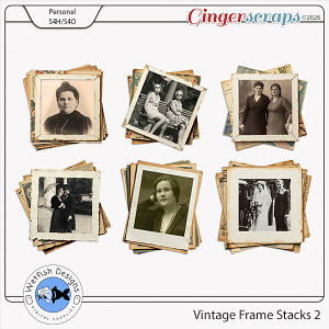 Vintage Frame Stacks 2 by Wetfish Designs 