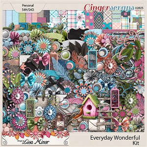 Everyday Wonderful from Designs by Lisa Minor