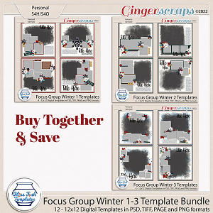 Focus Group Winter 1 - 3 Template Bundle by Miss Fish