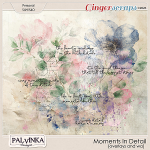 Moments In Detail Overlays and WA by Palvinka Designs