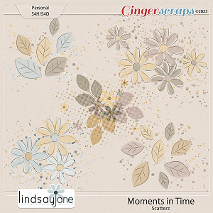 Moments in Time Scatterz by Lindsay Jane