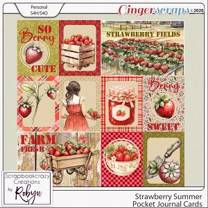 Strawberry Summer Pocket Cards by Scrapbookcrazy Creations Strawberry Summer Pocket Cards by Scrapbookcrazy Creations