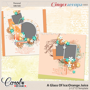 A Glass Of Ice:Orange Juice-Template