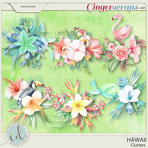 Hawaii Clusters by Ilonka's Designs