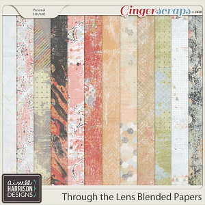 Through the Lens Blended Papers by Aimee Harrison