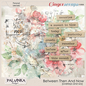 Between Then And Now Overlays and WA by Palvinka Designs