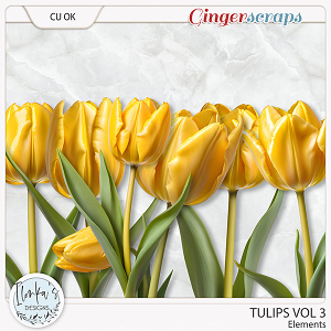 CU Tulips Vol 3 by Ilonka's Designs