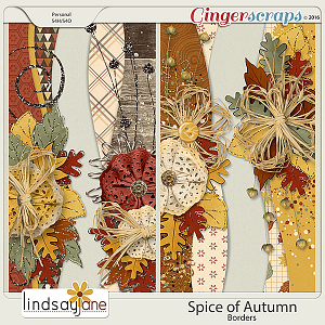 Spice of Autumn Borders by Lindsay Jane