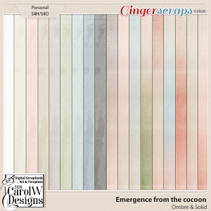Emergence from the cocoon-Ombre & Solid