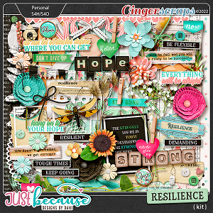 Resilience Kit by JB Studio