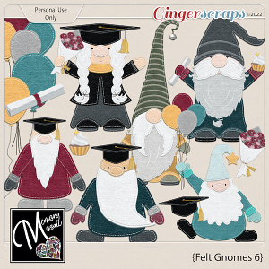 Felt Gnomes 6 by Memory Mosaic