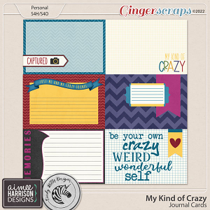 My Kind of Crazy Journal Cards by Aimee Harrison and Cindy Ritter Designs