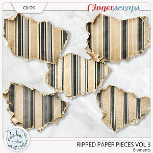 CU Ripped Paper Pieces Vol 3 by Ilonka's Designs