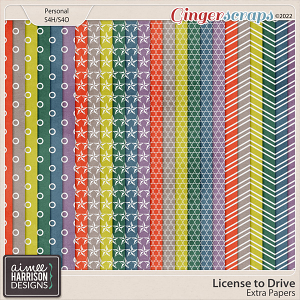 License to Drive Extra Papers by Aimee Harrison