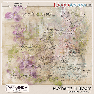 Moments In Bloom Overlays and WA by Palvinka Designs