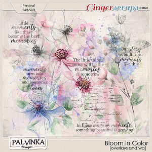 Bloom In Color Overlays by Palvinka Designs