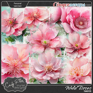 Wild Roses [Transfers] by Cindy Ritter