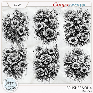 CU Brushes Vol 4 by Ilonka's Designs