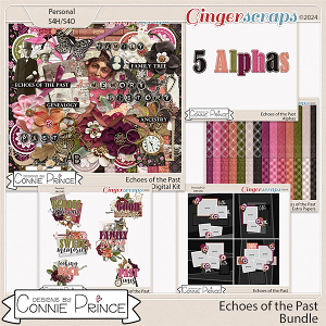 Echoes Of The Past - Bundle by Connie Prince