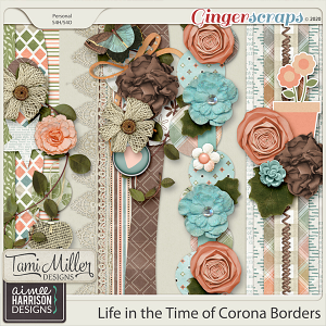 Life in the Time of Corona Borders by Aimee Harrison and Tami Miller