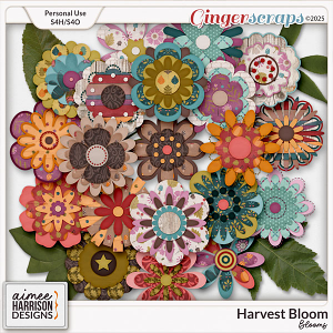 Harvest Bloom Blooms by Aimee Harrison